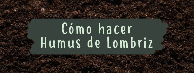 Como Fazer Húmus de Minhoca (Passo a Passo)