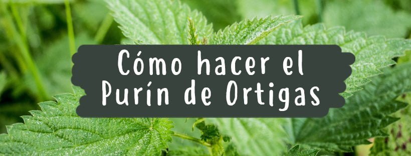 Como Fazer Adubo Líquido De Urtigas (Passo A Passo)