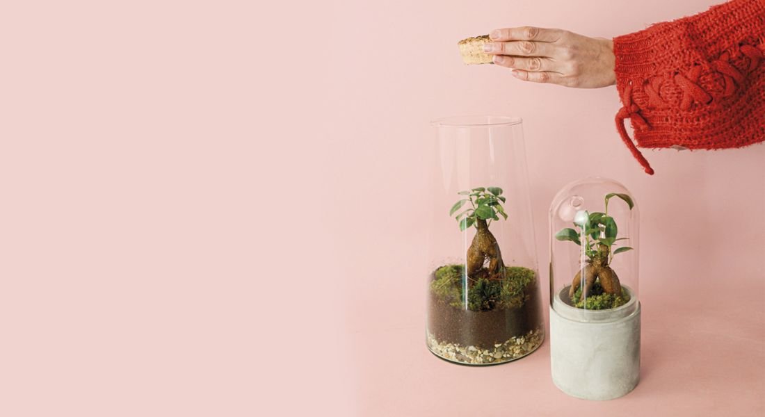 Como Fazer um Jardim em Tigela