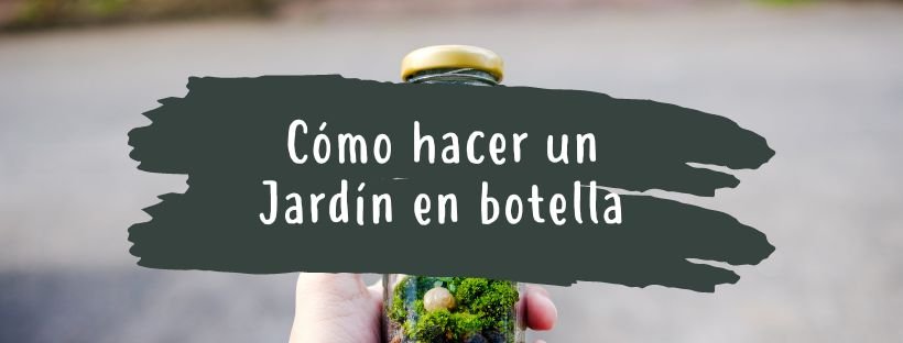 Como Fazer Um Jardim em Garrafa