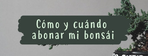 Como e Quando Adubar o Seu Bonsai