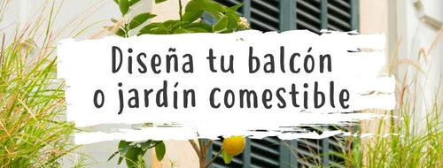 Desenhe a Sua Própria Varanda Comestível