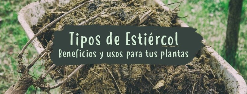 Estrume: Tipos, Benefícios E Usos Para As Suas Plantas