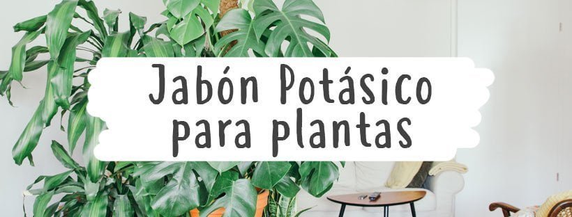 Sabão Potássico Para Todo o Tipo de Plantas