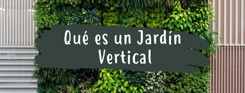 Jardim Vertical: O Que É E Para Que Serve