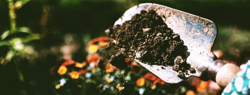 A Importância De Adubar No Outono As Nossas Plantas