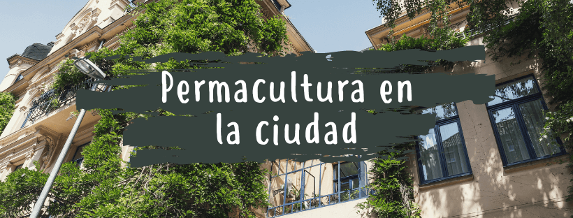 A Importância da Preservação da Fauna e Flora