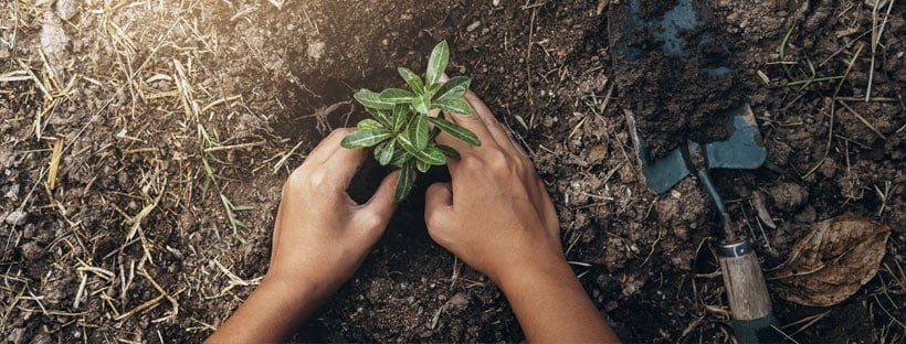 A Solução Para o Aquecimento Global Está No Solo