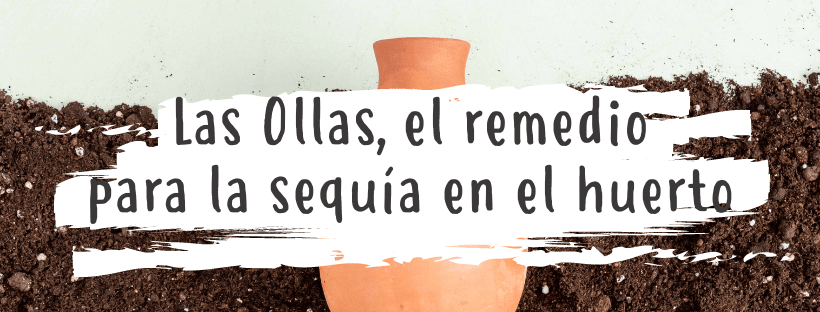 Os Olles, O Remédio Para A Seca Na Horta