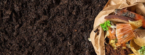 Os Melhores Adubos Orgânicos Para Plantas
