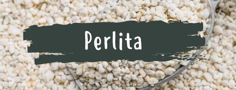 Perlite: O Que É e Para Que Serve