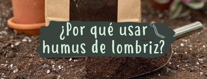 Por Que Usar Húmus De Minhoca Nas Minhas Plantas?