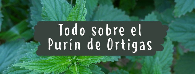 Adubo Líquido de Urtigas: Tudo o que Precisa de Saber