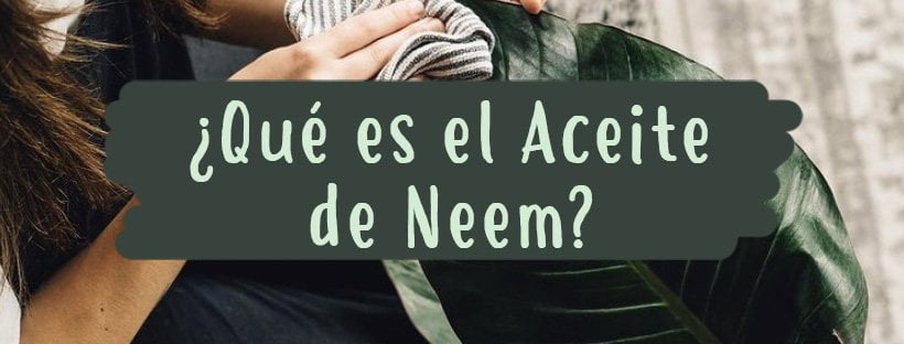 O que é o Óleo de Neem: Usos e Propriedades
