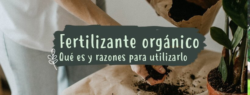 O Que É Adubo Orgânico: Uso E Benefícios
