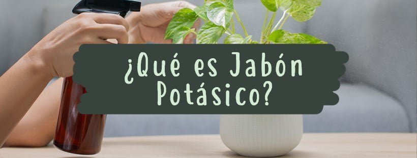 O Que É Sabão de Potássio: Usos E Propriedades