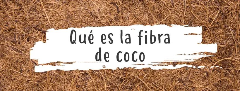 O Que É A Fibra De Coco?