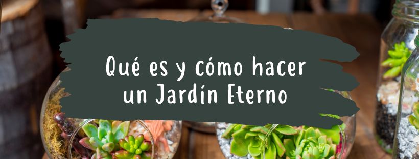 O Que É E Como Fazer Um Jardim Eterno