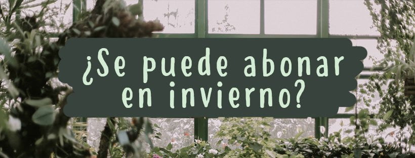 Pode-se adubar as plantas no inverno?