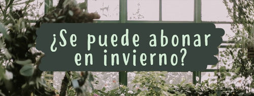 Pode-se adubar as plantas no inverno?