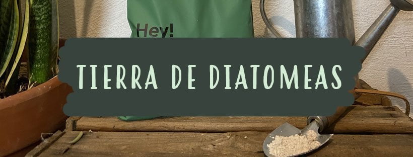 Terra de Diatomáceas: O Que É e Para Que Serve