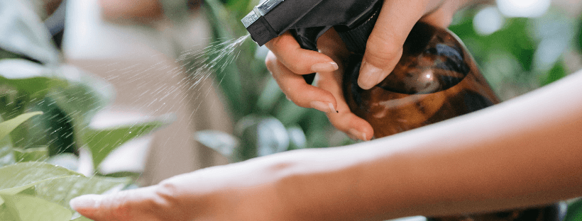 Tudo O Que Precisa Saber Sobre Pulverizar Plantas