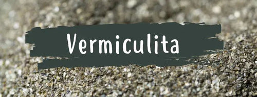 Vermiculite: O Que É e Para Que Serve