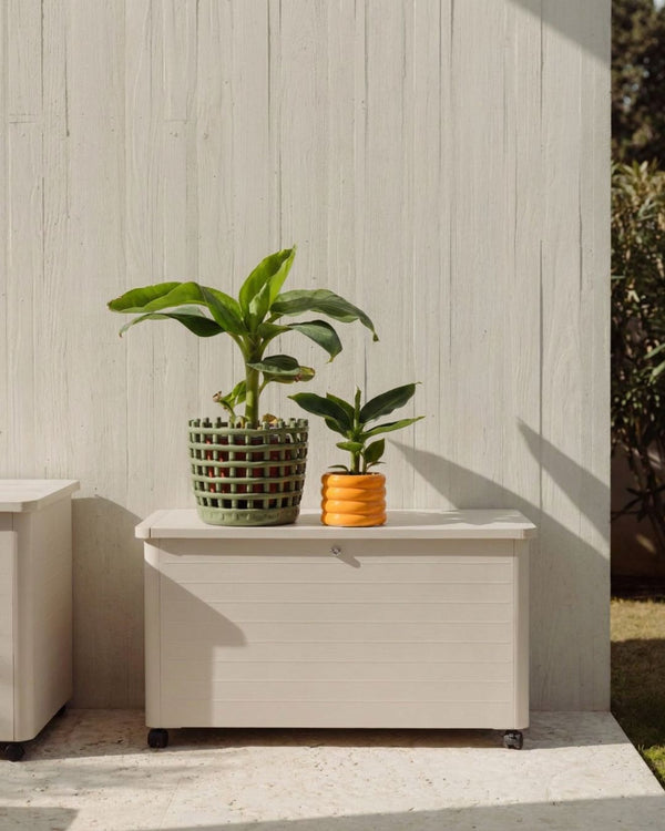 Plantas Bananeira