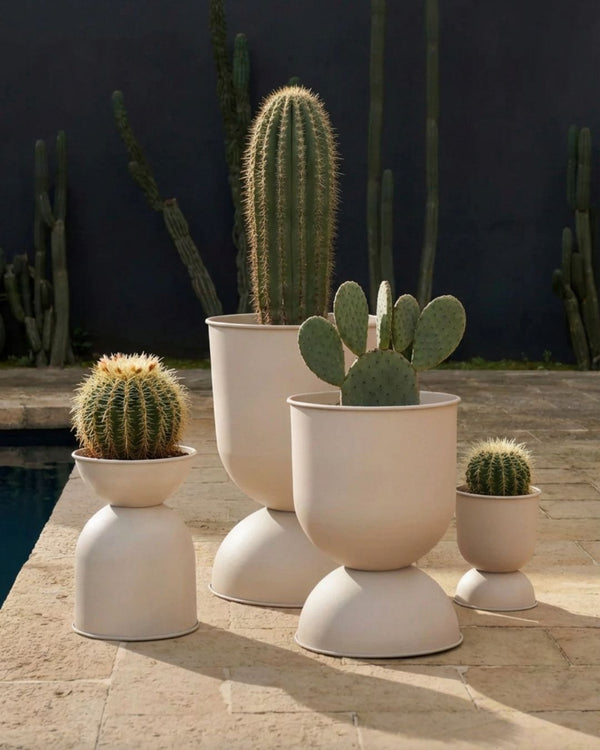 Cactos