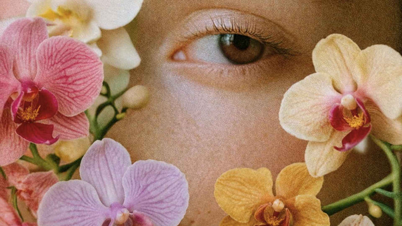 Día de la Madre - Pur Plant