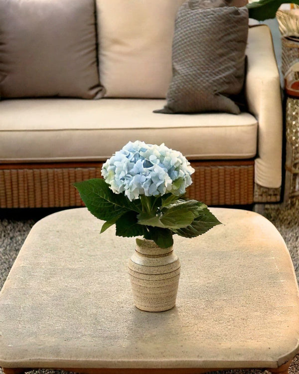 Hortênsias