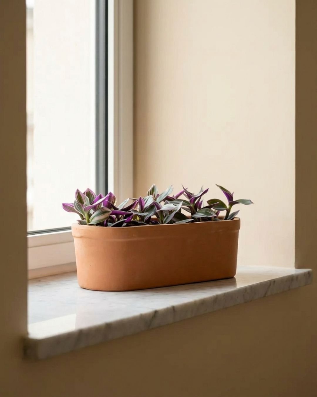 Jardineras para Plantas - Pur Plant