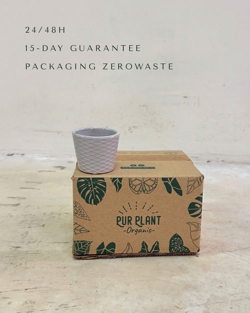 Super Mini Vaso Cinzento - 6 cm