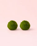 2x Bola Marimo – Mini Bola de Musgo Vivo 3 cm