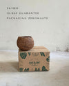 Vaso de Coco S - 7 cm
