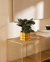 Bob_Mini_Maceta_Ceramica_Amarilla_6cm_contexto