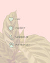 Calathea Freddie Mini care