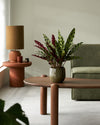 Calathea lancifolia M context