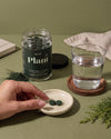 Espirulina 500 mg Ecológica, 300 tabletas