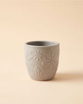 Frozen – Mini Maceta Gris 7 cm