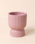 Jolie – Mini Maceta Rosa 6 cm