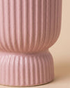 Jolie-_Mini_Maceta_Pink_6cm_detalle