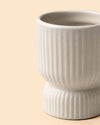 Jolie-crema-maceta-mini-detail