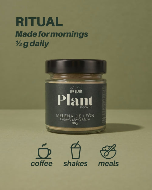 ritual how use lions mane pur plant
