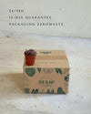 Lithops Rubra – Piedra Viva packaging