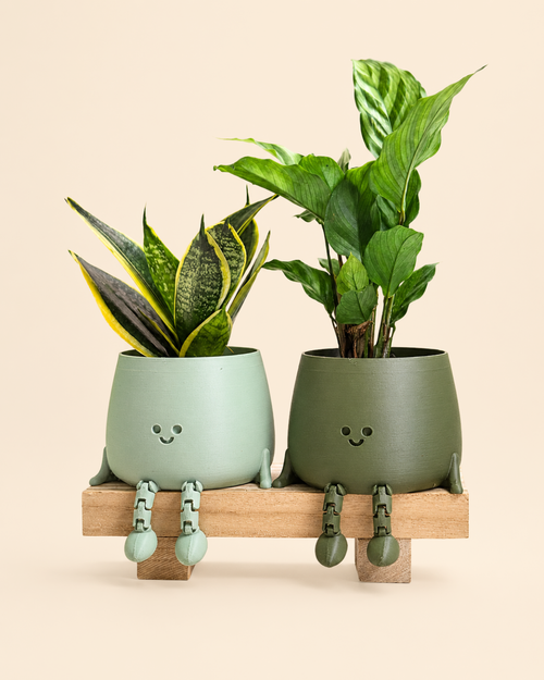Mini Happy Pot Verde Pastel 2