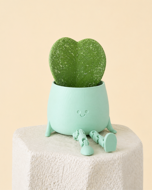 Mini Happy Pot Verde Pastel plant
