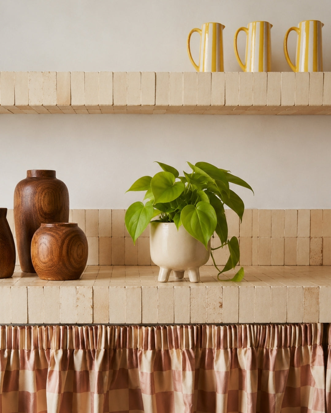 Philodendron Lime M context