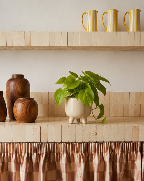 Philodendron Lime M context