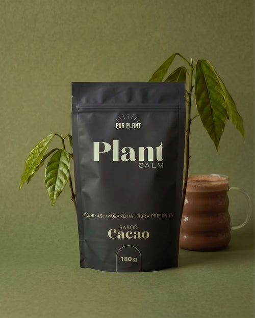 Plant_Calm_Cacao_vaso